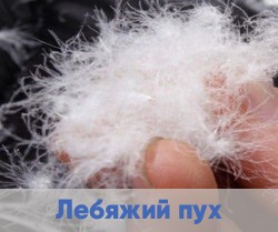 Наполнитель искусственный лебяжий пух