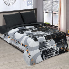 Постельное белье 1,5сп поплин Статус