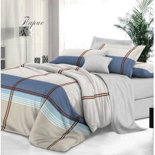 Постельное белье семейное сатин Престиж Парис