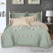 Постельное белье 2 сп/европр. тенсел Джанет