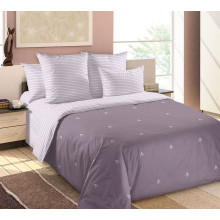 Постельное белье 1,5сп сатин Аристократ 4 арт. 1240Н