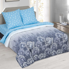 Постельное белье 2сп поплин Грёзы