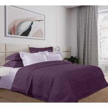 Постельное белье 2 сп/европр. страйп-сатин Фиолет арт. LK3325