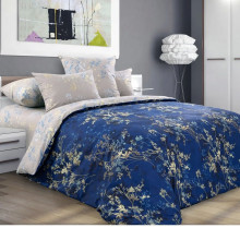 Постельное белье 2 сп/рез. простыня 160х200 перкаль Астерия