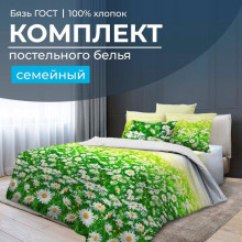 Постельное белье семейное бязь ГОСТ Ромашковое поле арт. 2803
