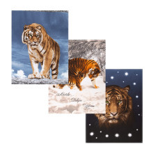 Набор полотенец 45х60 (3 шт) рогожка Раджа