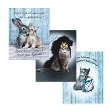 Набор полотенец 45х60 (3 шт) рогожка Маркос