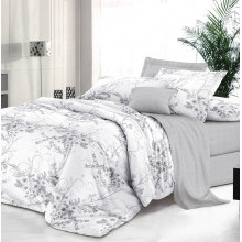 Постельное белье 1,5сп сатин Бессан