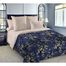 Постельное белье 1,5сп сатин Астерия (книжка)