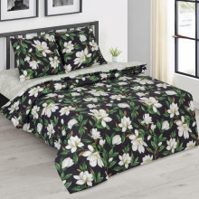 Постельное белье зима-лето евро поплин Фелиция